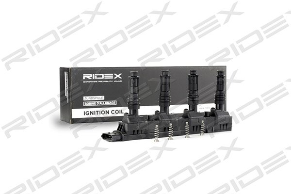 RIDEX 689C0101