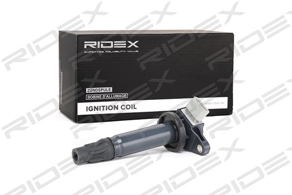 RIDEX 689C0114