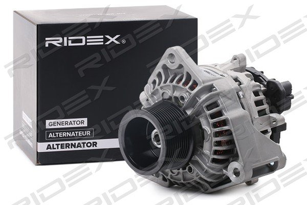 RIDEX 4G0841