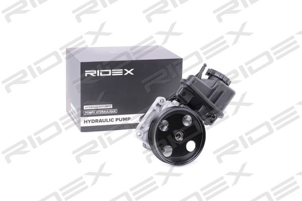 RIDEX 12H0125