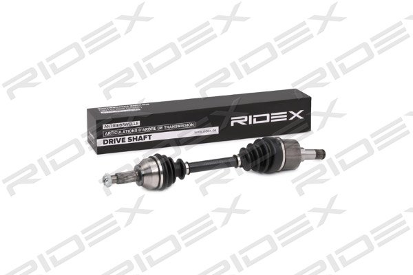 RIDEX 13D0256