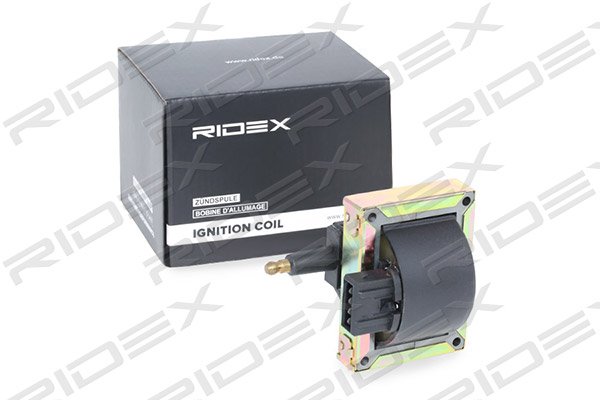 RIDEX 689C0308