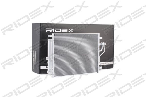 RIDEX 448C0261