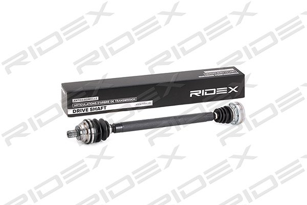RIDEX 13D0157