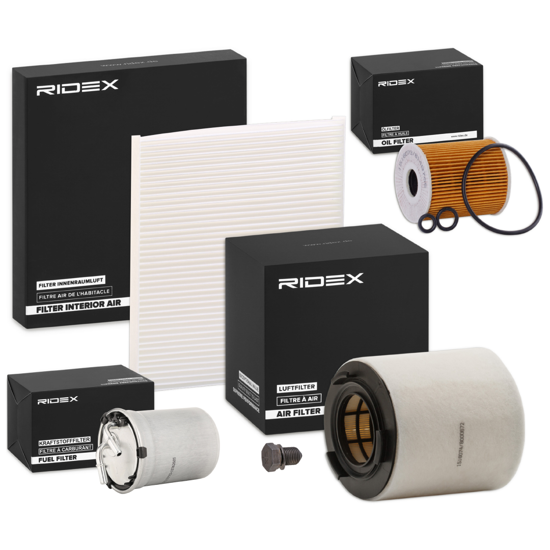 RIDEX 4055F17379