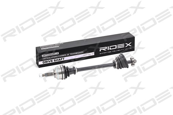 RIDEX 13D0180