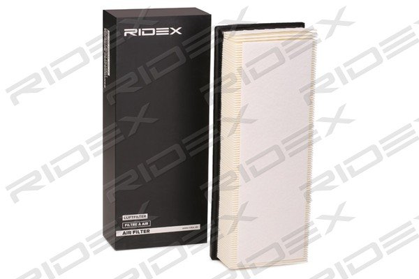 RIDEX 8A0061