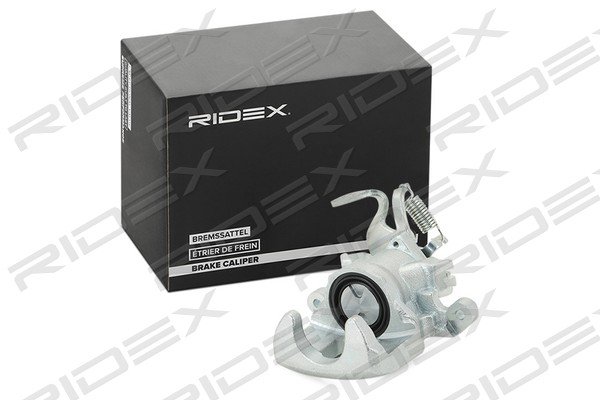 RIDEX 78B0746