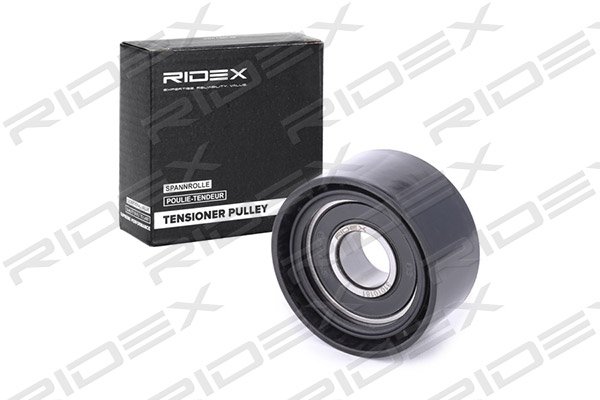 RIDEX 310T0181