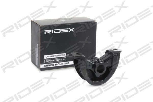 RIDEX 247E0244