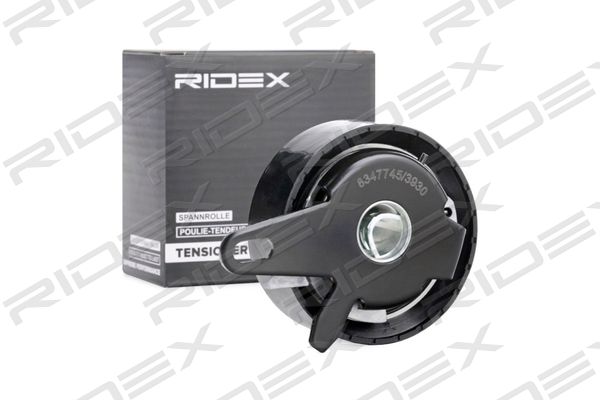 RIDEX 308T0031