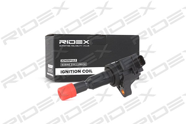 RIDEX 689C0129