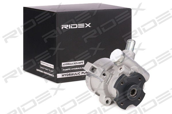 RIDEX 12H0137