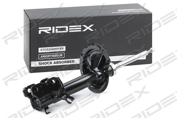 RIDEX 854S0818