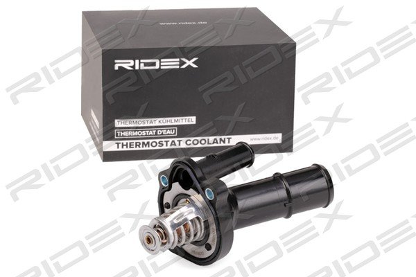 RIDEX 316T0250