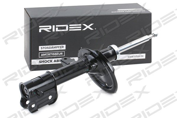 RIDEX 854S0456