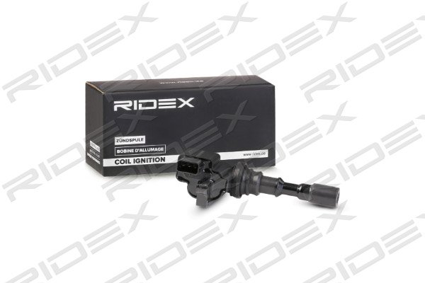 RIDEX 689C0317