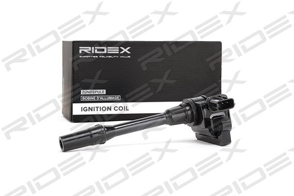 RIDEX 689C0204