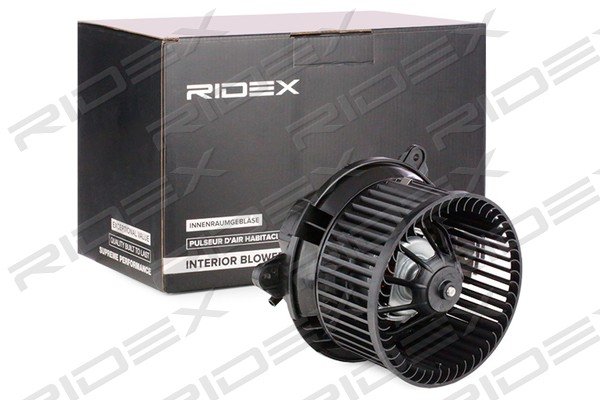 RIDEX 2669I0191