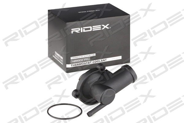 RIDEX 316T0186