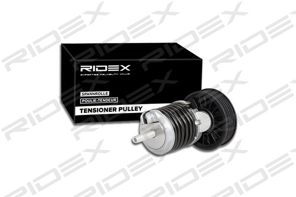 RIDEX 541V0023