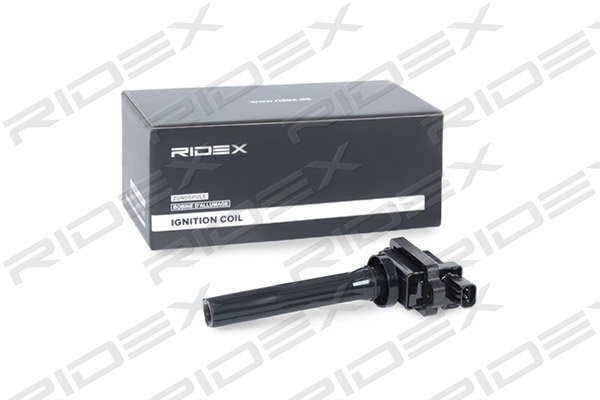 RIDEX 689C0016