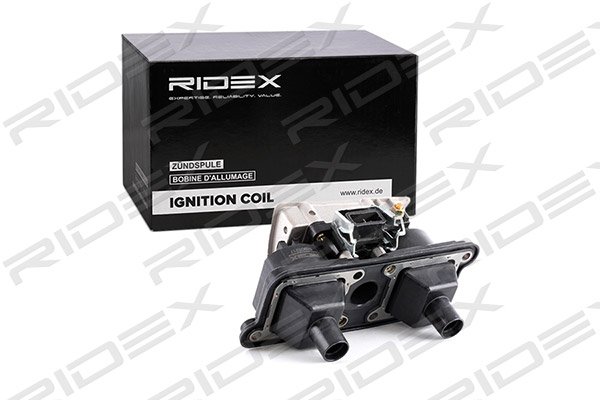 RIDEX 689C0217