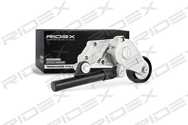 RIDEX 540T0010