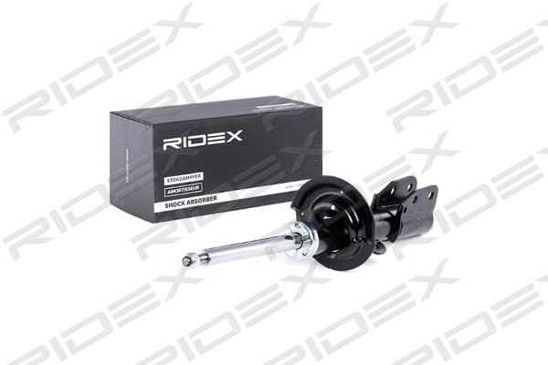 RIDEX 854S0842