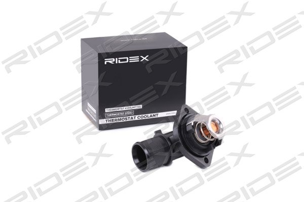 RIDEX 316T0093