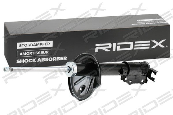 RIDEX 854S0861