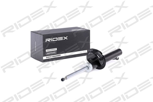 RIDEX 854S0304
