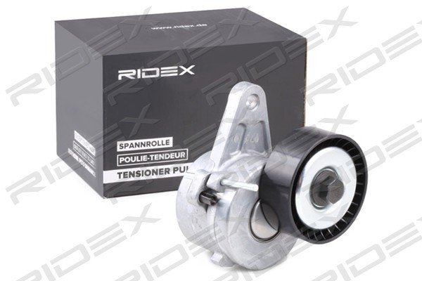 RIDEX 310T0293