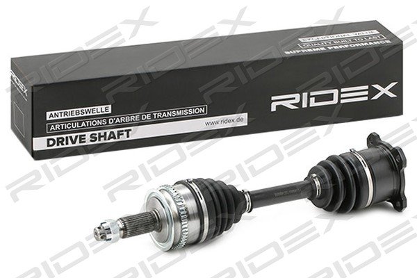 RIDEX 13D0671