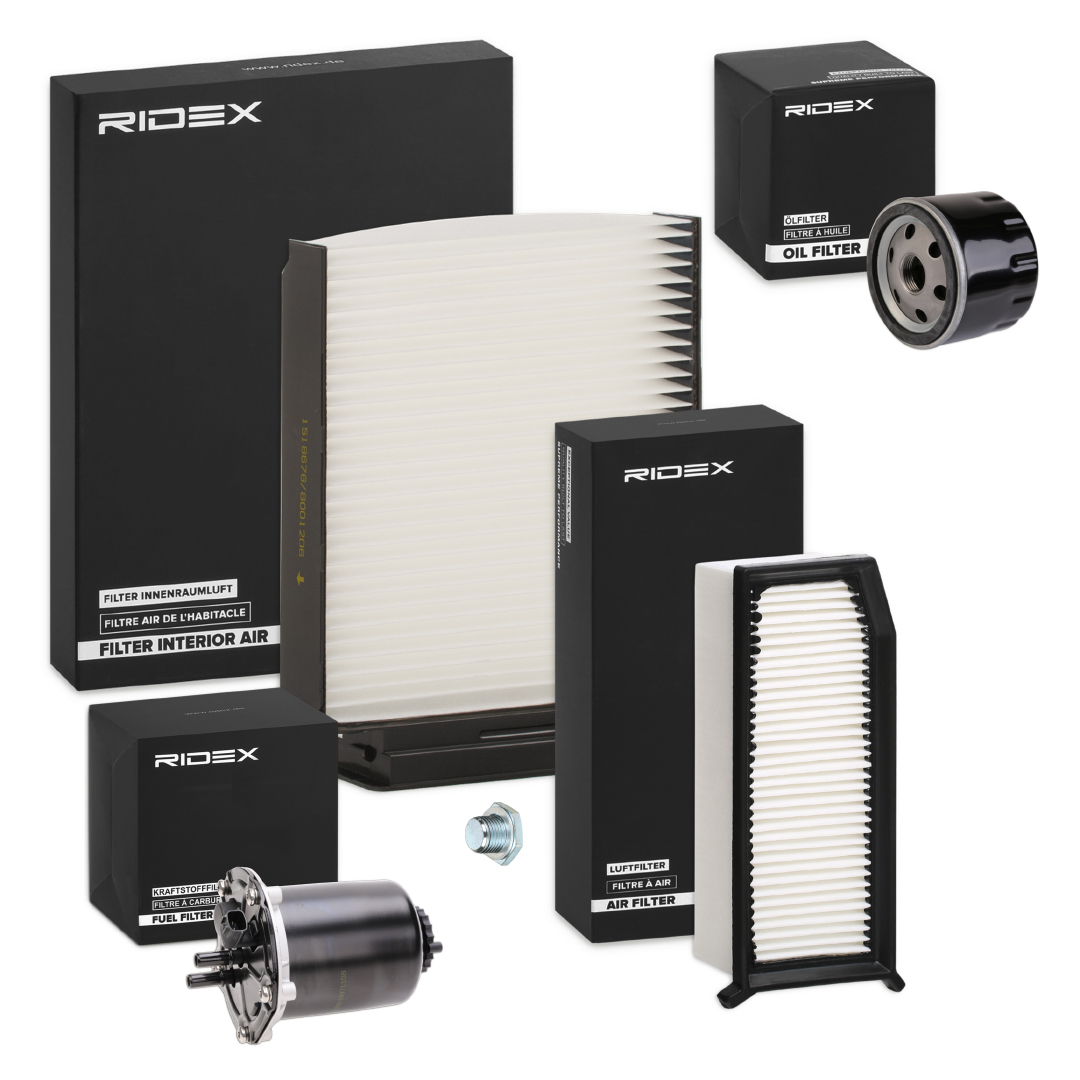 RIDEX 4055F33948