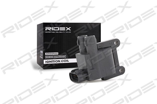 RIDEX 689C0121