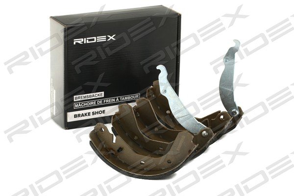 RIDEX 70B0199