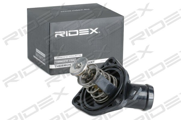 RIDEX 316T0259