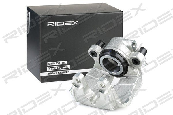 RIDEX 78B1133