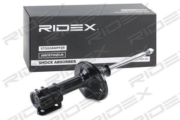 RIDEX 854S0646