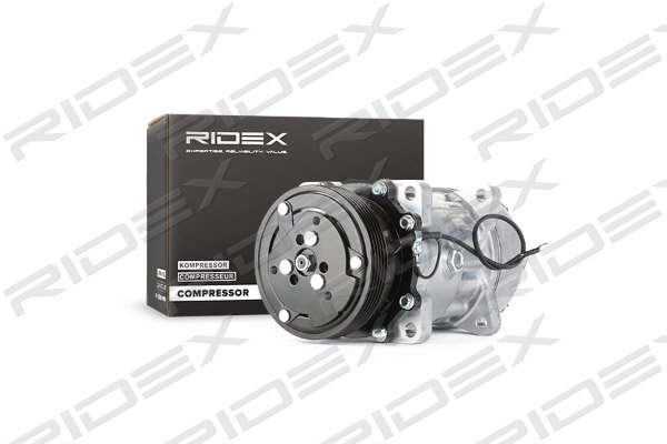 RIDEX 447K0066