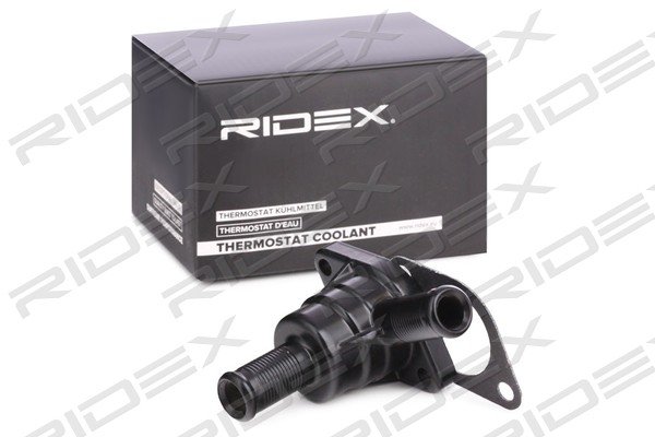 RIDEX 316T0238