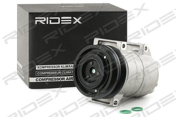 RIDEX 447K0121