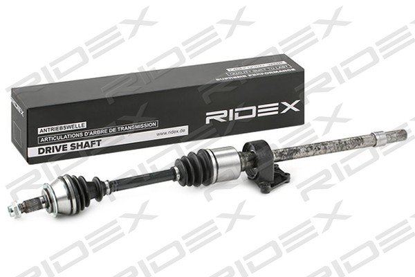 RIDEX 13D0627