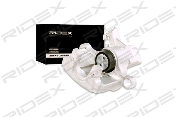 RIDEX 78B0182