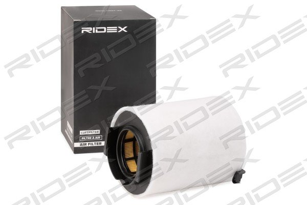 RIDEX 8A0296