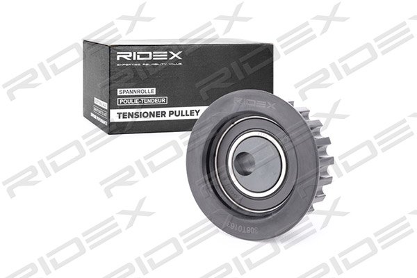 RIDEX 308T0163