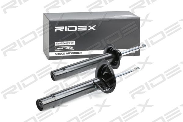 RIDEX 854S1693