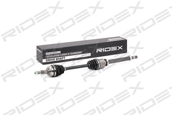 RIDEX 13D0296