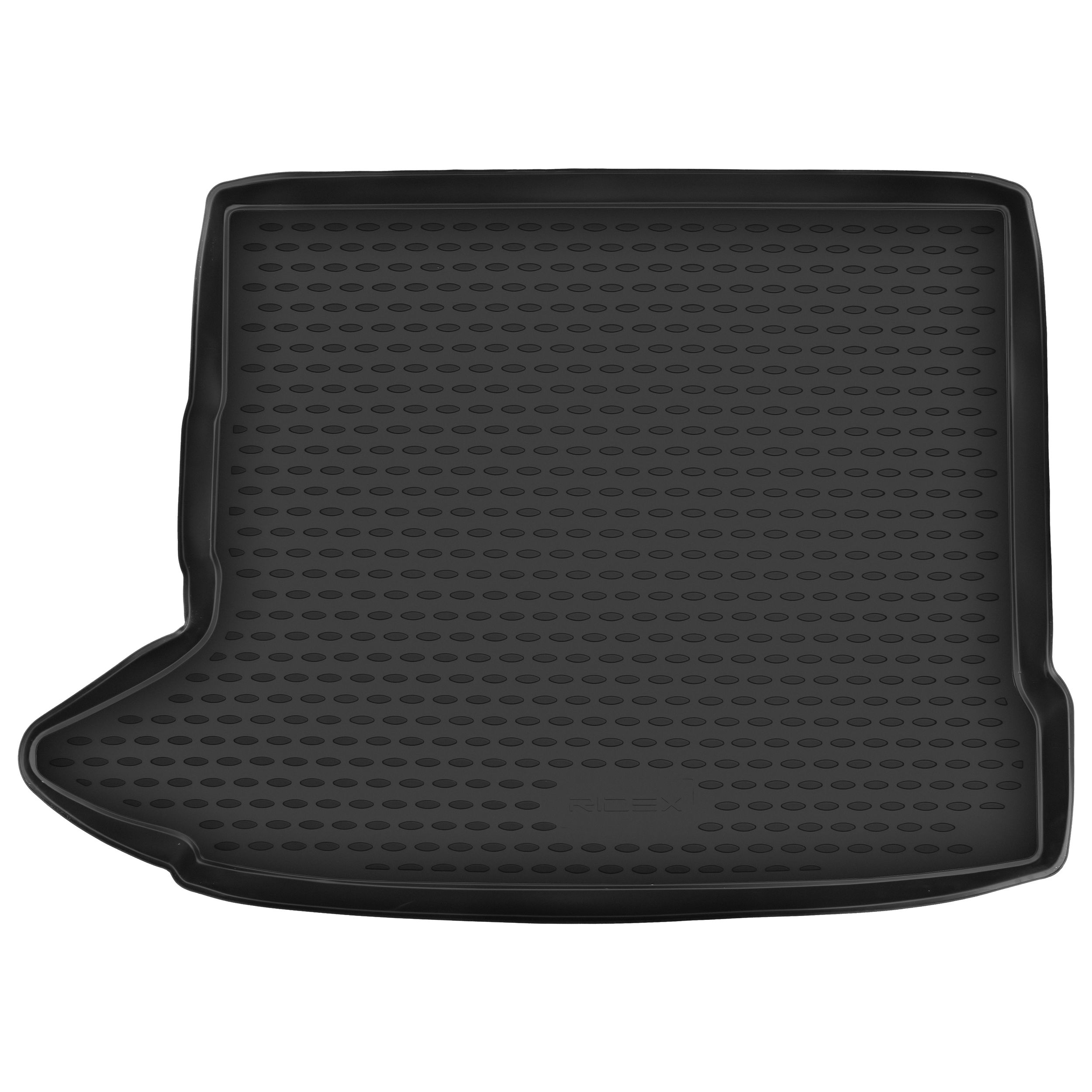 RIDEX 4731A0379